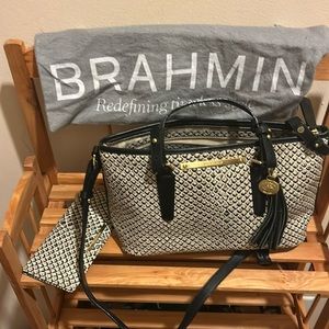 Black and White Brahmin